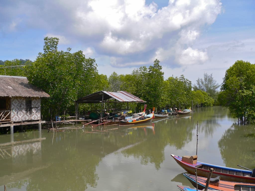 Kayaking through mangrove channels on Koh Lanta, Krabi, Thailand