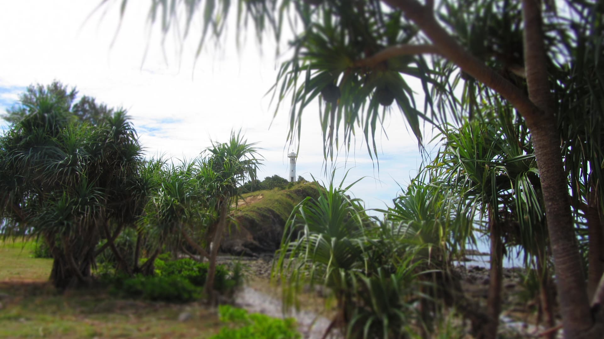Park, lighthouse and jungle