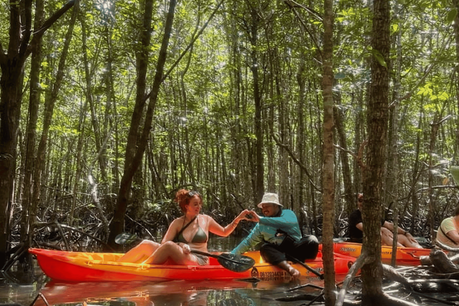 Mangrove Kayak & Old Town Half-Day Tour